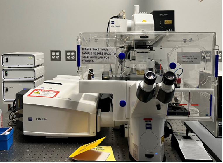 Mai Tai Lasers for bioimaging